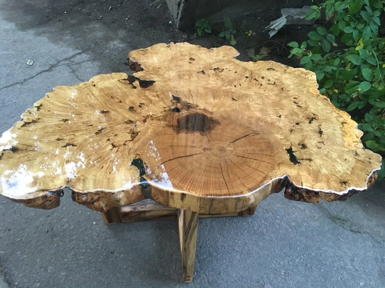 Salontafel van natuurlijk hout met een glanzende afwerking en rijke nerfpatronen. Het rustieke tafelblad heeft onregelmatige randen en staat op een houten onderstel voor buiten.