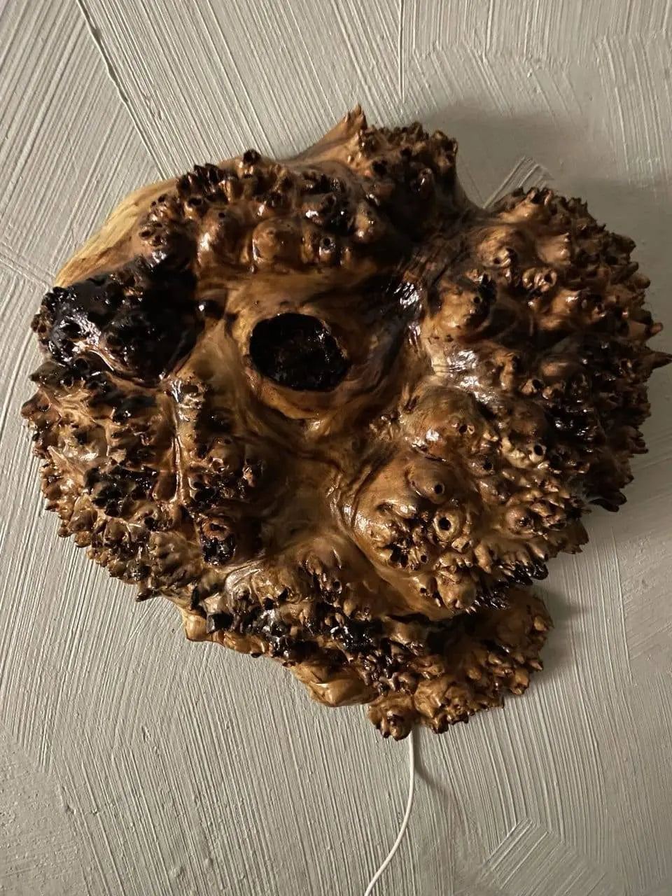 Een gedetailleerd, gestructureerd stuk hout met noestige, hobbelige oppervlakken en rijke bruine tinten, gemonteerd op een diagonaal getextureerde lichte muur, wat een natuurlijke, rustieke sfeer creëert.