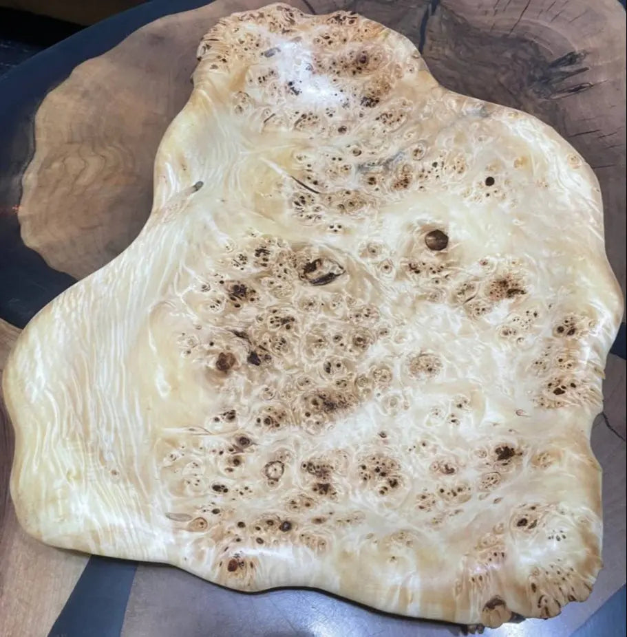 Close-up of a wooden burl with intricate swirls and knots, showcasing rich textures and natural patterns. The tone is earthy and organic.