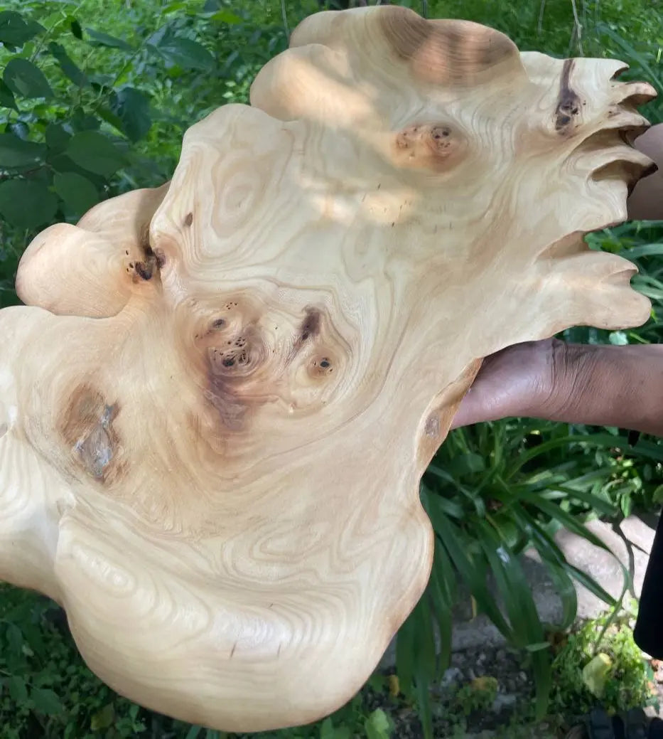 Handen houden een glad, lichtgekleurd houten beeld vast met ingewikkelde nerfpatronen en knoesten, tegen een achtergrond van weelderige groene tuin.